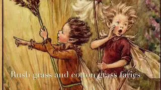 Cicely Mary Barker by Penelope