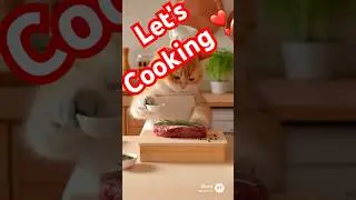 #cat #猫 #cute #food #asmr #animals #funny #cooking