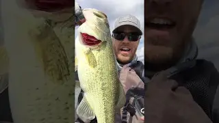 Michigan Kayak Trail: Gun Lake Pre Fishing