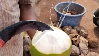 Rs;₹60, 2_Lit😲😲 Big Monster 👹👹  coconut🥥 famous in India