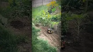 🌻Doug worked the Sunflower Path...