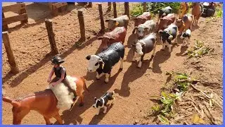 RUMO A FAZENDA: TOCANDO A BOIADA PELA ESTRADA #fazendinhachapeudogato #fazenda