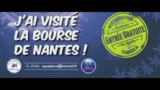 #VISITE Le paradis de la bourse aux poissons de Nantes 2018