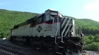 Reading and Northern NRFF Chase (5/20/2021) RBMN SD50-2 5019 leading SD40-2's 3055 and 3057