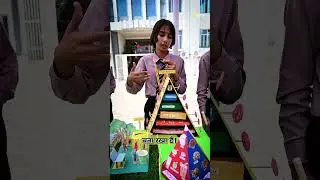 BEST Science Model for School: Food Pyramid & Balanced Diet at Prince School Science Fair