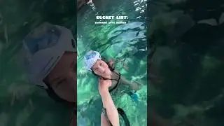 BUCKET LIST: swimming with sharks 🦈 #bucketlist #adventure #swimming #vacation #holiday #mustvisit