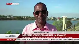 Marine conservation and restoration efforts for mitigating and adapting climate change gain momentum