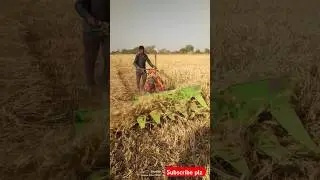 #tractor #farmingpassion #tractortech #swarajtractor #farmer #farming#reel  #manishkushwahafarming