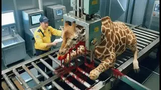 Inside Giraffe Leather Factory &ndash; Full Process How Luxury Watch Straps Are Made