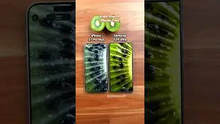 Samsung S24 Ultra Vs iPhone 17 Pro Max Macro Camera Test