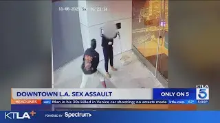 Woman violently assaulted while walking her dog in downtown L.A.