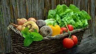 La protection du climat au menu : entrevue avec St&eacute;phanie C&ocirc;t&eacute;