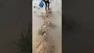 having fun! walking in puddles of water after school