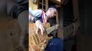 Meu beijo vai te viciar 🎶bass cover 🙌 baixo do luthier F.lisboa imperial circuito tb Tech hybrid 💥