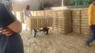 compressed Wheat Straw