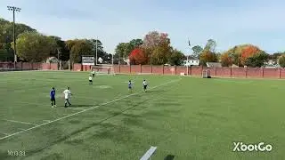 Newton Evergreen at Northshore United