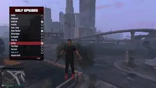 БЕСПЛАТНЫЙ ЧИТ ДЛЯ GTA ONLINE 1.53 Light 1.2
