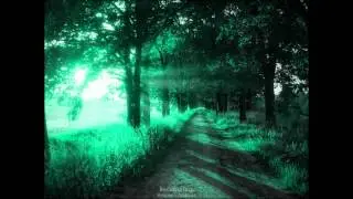 LA DAMA DE VERDE