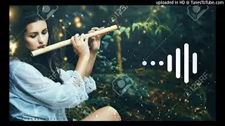 Tik Tok Flute Ringtone Funonsite | Tik Tok Viral Ringtone 2019