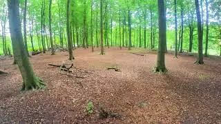Virtual nature walk in 