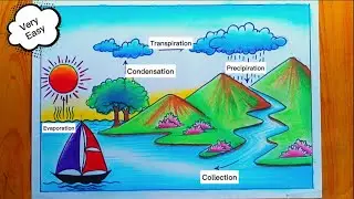 Water cycle drawing || Water cycle diagram easy || easy drawing water cycle in chart paper ||