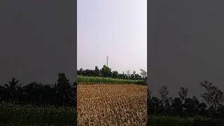derepression ভুলে গিয়ে প্রকৃতির প্রেমে পরো 🌸💖❤️#love #love #nature #flowers #viralvideos #shortvideo