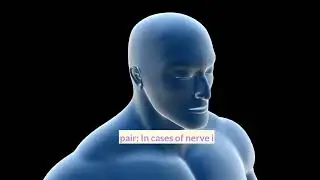 Bioprinting in Neural Tissue Engineering | Unlocking the secrets of the Brain | Neuroscience