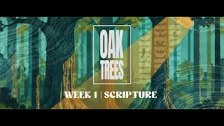 December 28, 2025 | Oak Trees | Scripture