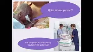 Developmentally Supportive Care in the NICU