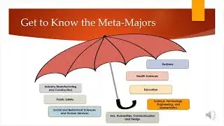 Meta Major
