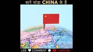 सारे पांडा china के है | Facts About Panda In Hindi | #shorts | FactLoop
