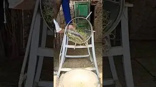 сенорезка@@@