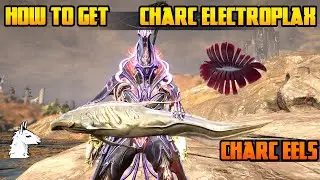 Давайте поиграем в Warframe &mdash; Как получить Чарк Электроплакс &mdash; Ловля угря Чарк