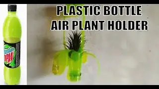 Paano i Recycle Diy Plastic Bottle Air Plant Holder How to Recycle Plastic bottle