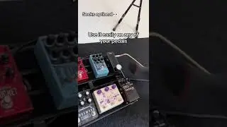 The Footswitch Topper #shorts #guitar #pedalboard