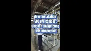 Free Installation 500 BPH Compact Chicken Slaughtering Line Plug & Play Poultry Processing Equipment