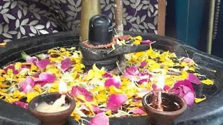🛕🏵सिद्धपीठ श्री हनुमंतेशवर मंदिर फगवाडा पंजाब से सीधा प्रसारण|| LIVE || #AARTI #HANUMAN #Christmas 💕