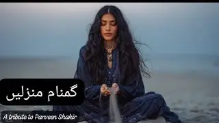 گمنام منزلیں