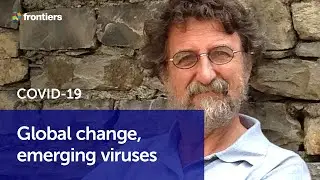 COVID-19: Land use change at root of coronavirus pandemic? | Paolo Vineis, Imperial College London