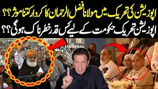 How Effective Is Maulana Fazal ur Rehman Role In Opposition Movement? | Public Opinion