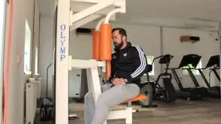 Reverse Butterfly - hintere Schulter