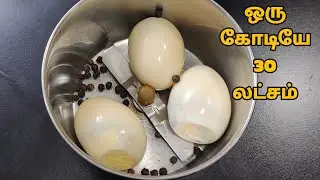 பலர் கேட்ட ரெசிபி youtubeலயே இதான் முதல்முறை 💪
