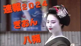速報2024　京都祇園花街　八朔　＃正装の舞妓さん　芸妓さん　https://www.youtube.com/@bunnko/about