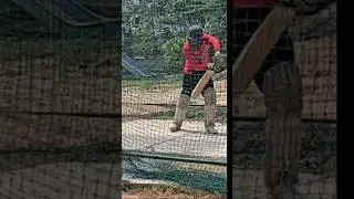 Help me who is elite in batting Can you suggest someone in the comments?#battingtips #batting