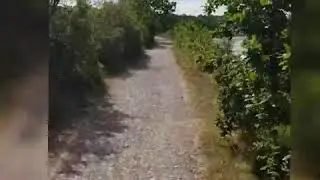 #Lovelywalk 🚶🏿&zwj;♀️🚶&zwj;♂️