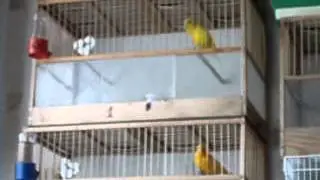 MOV03441
