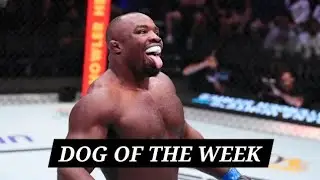 UFC 325 Volkanovski vs Lopes 2 (DOG OF THE WEEK)