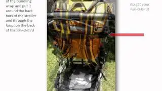 Use a stroller to carry your bird in your Celltei Pak-O-Bird