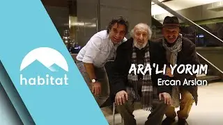 ARA'LI YORUM | ERCAN ARSLAN