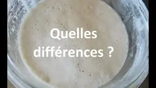 #lesfondamentaux : la fermentation (levain, levure, poolish)
